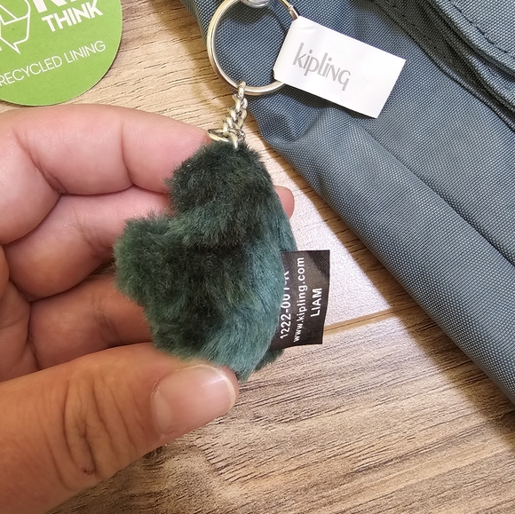 Kipling Julieta Crossbody Bag, Light Aloe Tonal - Picture 4 of 6